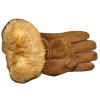 Winter Gloves